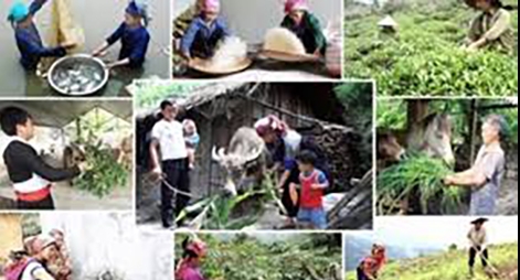 Việt Nam đã đạt được nhiều thành tựu về xóa đói, giảm nghèo