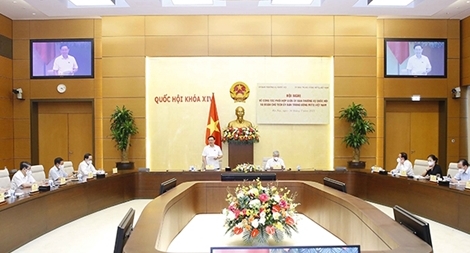 Nghiên cứu tiếp tục hoàn thiện pháp luật về bầu cử