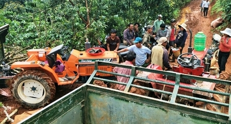  Nứt đất kinh hoàng lên 20ha, dân vớt vát tài sản tháo chạy 