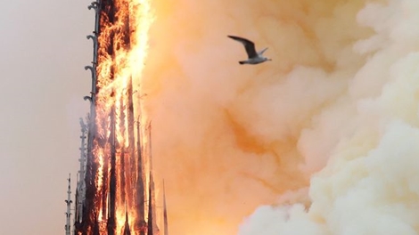 Tòa thánh Vatican kêu gọi đoàn kết sau vụ cháy Nhà thờ Đức Bà Paris