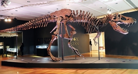 "Giật mình" số lượng khủng long bạo chúa từng sống trên Trái đất