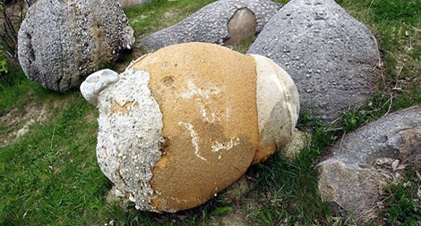 Những hòn đá "sống" di chuyển như động vật