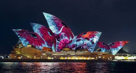 Lễ hội ánh sáng kỳ thú ở Australia