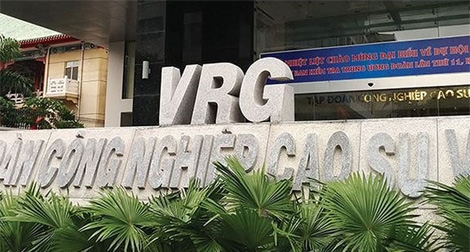 Không bán cổ phần Tập đoàn Công nghiệp cao su Việt Nam cho nhà đầu tư nước ngoài