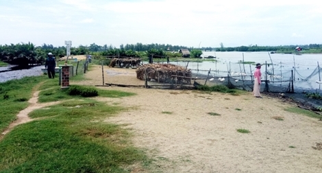 Đê ngăn mặn ven sông Trường Giang bị hư hỏng nghiêm trọng
