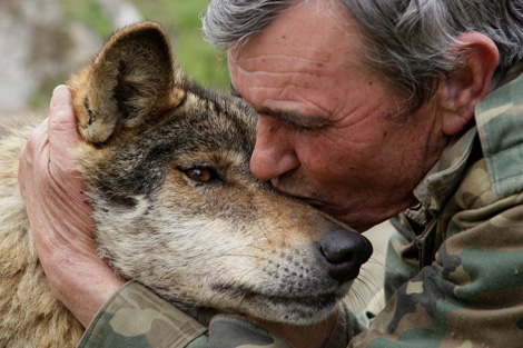 Sự Thật Về Người Đàn Ông Được Đàn Chó Sói Nuôi Suốt 15 Năm Ở Tây Ban Nha - Báo Công An Nhân Dân Điện Tử
