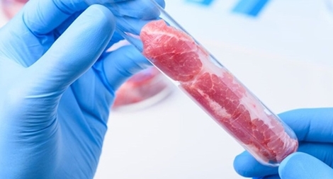 Thịt nhân tạo – Những thách thức cần vượt qua