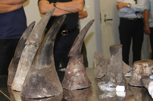 Buôn lậu ma túy, sản phẩm động vật hoang dã còn rất phức tạp