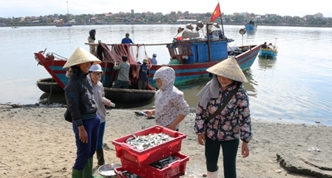 Thủ tục bảo hiểm nhiêu khê khiến ngư dân gặp khó