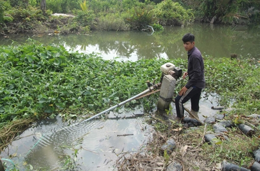 Đồng bằng sông Cửu Long đối diện xâm nhập mặn sớm và sâu