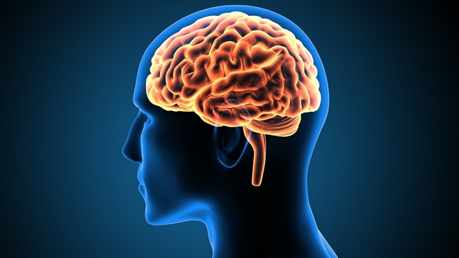 Khoa học nghiên cứu bí ẩn não con người - Báo Công an Nhân dân điện tử