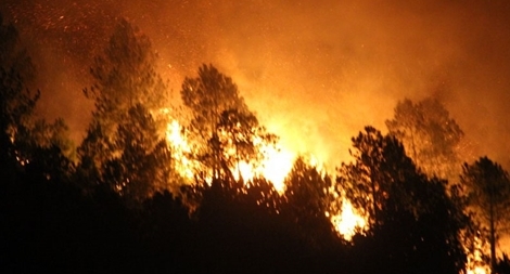 Hơn 2000 người lại tiếp tục dập lửa cứu rừng ở xã Diễn An