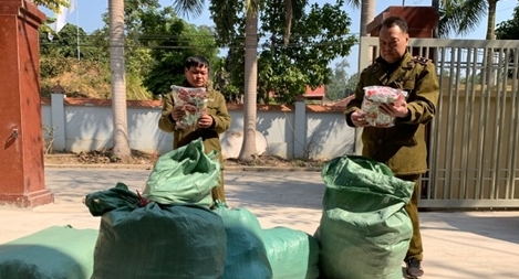 9.000 chiếc chân gà nhập lậu “hết đường” vào nội địa