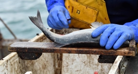 Kinh tế Anh rơi vào suy thoái hậu Brexit