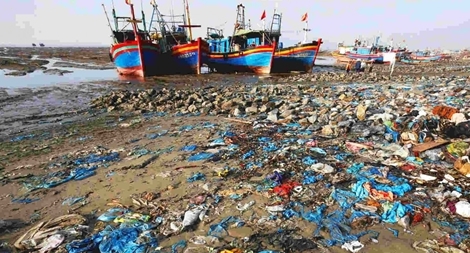 Đại dương không rác thải nhựa - Bắt đầu từ những ý tưởng sáng tạo nhỏ