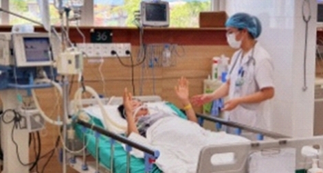 Bệnh nhân bị rắn độc cắn gia tăng