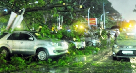 Nhiều tài xế thoát hiểm trong gang tấc trong cơn gió lốc kinh hoàng