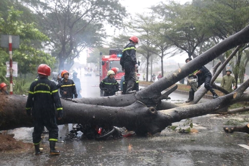 Đường ngập, cây xanh bật gốc đè người trong cơn bão số 9 tại TP Hồ Chí Minh