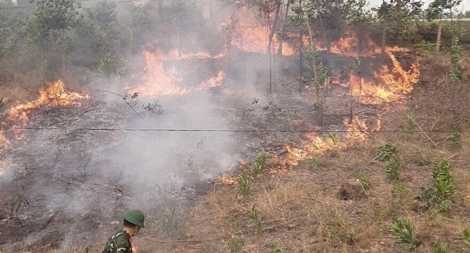 Hơn 1.000 cán bộ, chiến sĩ chữa cháy cùng lúc 2 vụ cháy rừng lớn