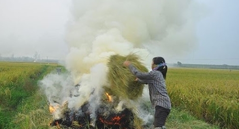 Hiểm họa từ việc đốt rơm rạ  