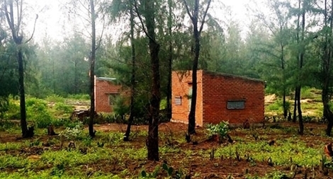 Dân chiếm đất rừng phòng hộ ven biển cất nhà