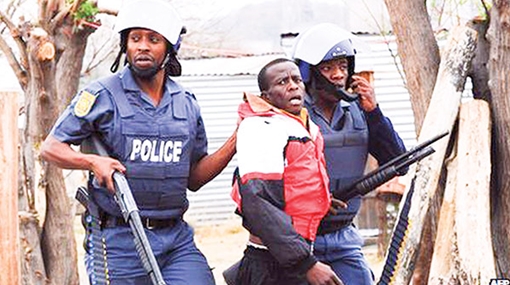 Chiến dịch lớn nhất của Interpol trong năm 2016