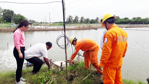Báo động tai nạn điện chết người do bất cẩn khi nuôi tôm