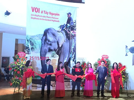 Trưng bày đồ nghề của “vua voi” Amakong