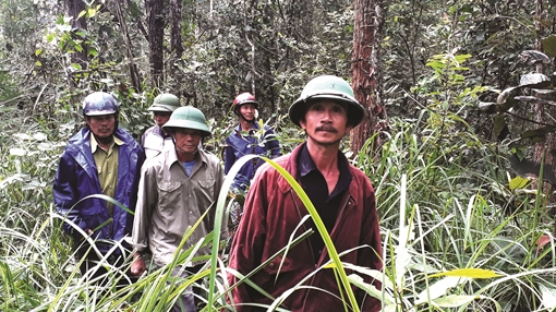 Những người lính giữ rừng nơi miền biên ải