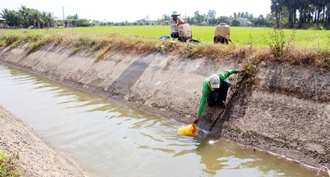 Đồng bằng sông Cửu Long chủ động thích ứng với xâm nhập mặn