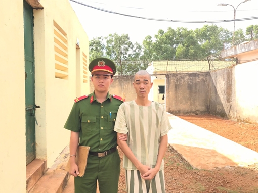 Bắt thêm đối tượng trong vụ hủy hoại rừng thông phòng hộ cảnh quan QL14