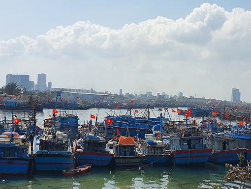 Hỗ trợ ngư dân thực hiện quy định khai thác hải sản theo khuyến nghị của EC