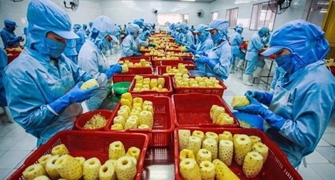 An ninh kinh tế - nền tảng đảm bảo thực hiện thắng lợi Hiệp định EVFTA và EVIPA