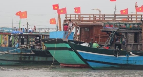 Hiệu quả từ mô hình câu lạc bộ ngư dân trẻ vươn khơi bám biển