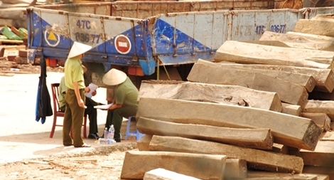 Hồi âm bài báo về vụ sai phạm liên quan gỗ tang vật ở Đắk Lắk