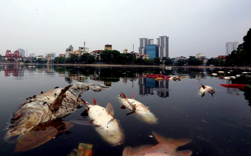 Báo động ô nhiễm hồ ao ở Hà Nội