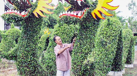 Khóc, cười cùng hoa, cây kiểng Tết