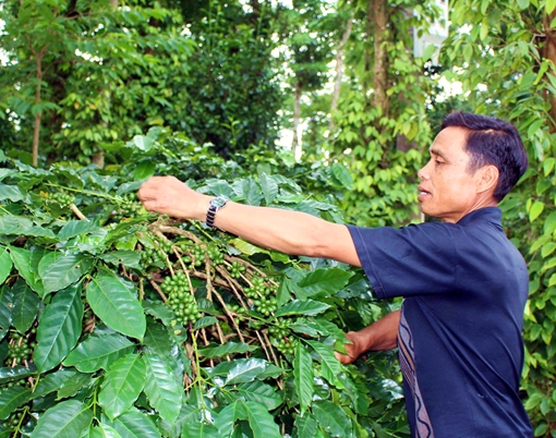 Người tiên phong giúp dân bản xóa nghèo