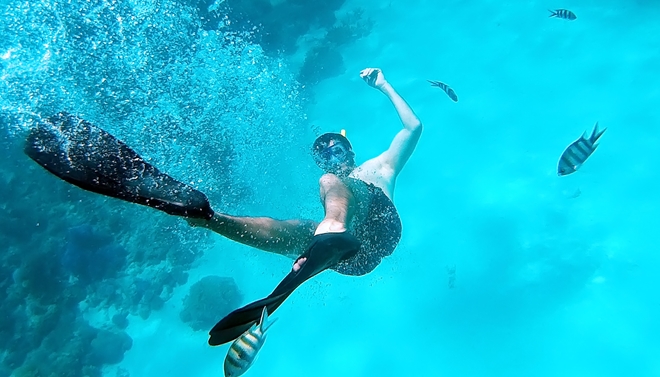 Con người có thể bơi như cá – Báo Công an Nhân dân điện tử