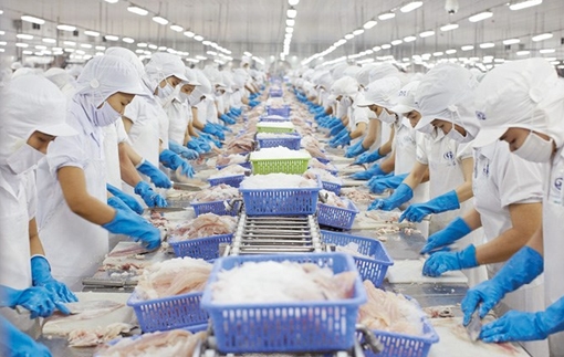 VASEP đề xuất 5 biện pháp khắc phục “thẻ vàng” IUU