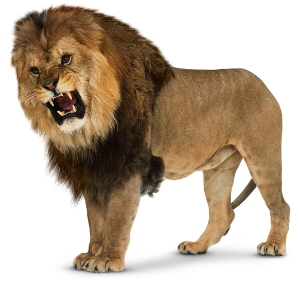 Phát hiện hóa thạch của sư tử khổng lồ - Báo Công an Nhân dân điện tử