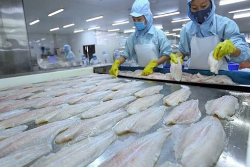 EVFTA: Tạo cú hích cho xuất khẩu thủy sản Việt Nam vào EU