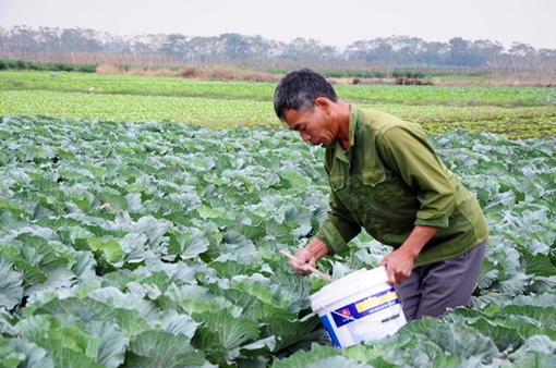 “Mỗi xã một sản phẩm-OCOP”, nâng cao hiệu quả kinh tế cho người dân Vĩnh Phúc