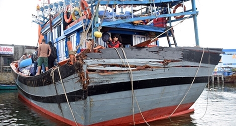 Người dân trình báo tàu cá bị tàu nước ngoài tông chìm ở Hoàng Sa