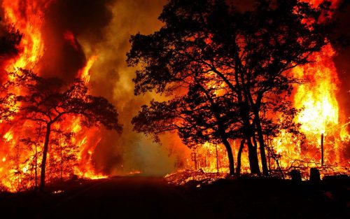 Ảnh cháy rừng như hỏa ngục tại nhiều nước châu Âu  Báo Dân trí