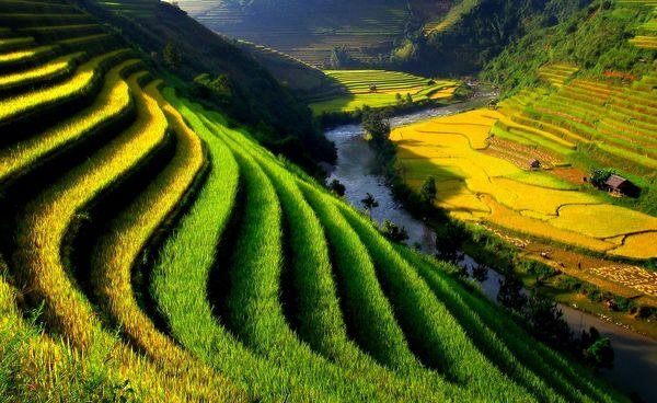 Mùa xuân Việt Nam: Mùa xuân đến, tất cả những cánh đồng bất tận sẽ khoe sắc hoa với những màu sắc tuyệt đẹp. Cùng tham gia trải nghiệm mùa xuân tại Việt Nam và cảm nhận nguồn sức sống tràn đầy.