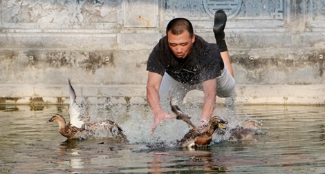 Dân làng Vạn Phúc trổ tài bắt vịt trong hồ tại lễ hội xuân