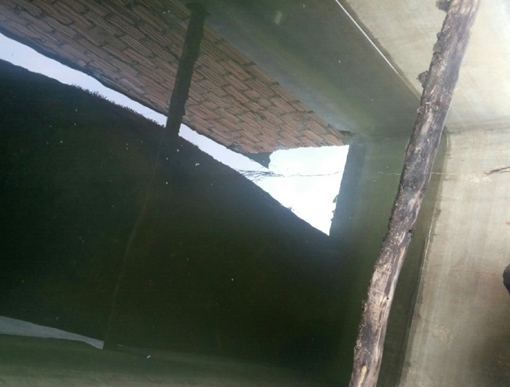 Một gia đình nghi bị đổ thuốc sâu vào bể nước sinh hoạt