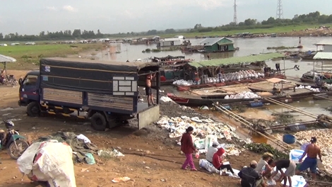 Hé lộ nguyên nhân gần 1 nghìn tấn cá chết trên sông Là Ngà