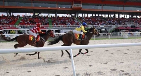 Đà Nẵng sẽ xây trường đua ngựa để thu hút khách du lịch